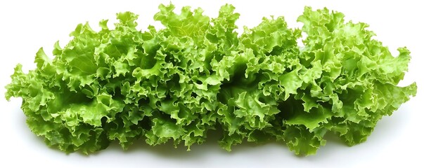 Obraz premium Fresh lettuce leaves, close-up, food (1)