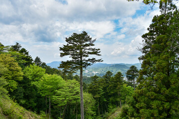 Obraz premium 夏の岐阜県の岩村城趾から見た風景