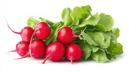 Fresh radishes with green leaves (2)