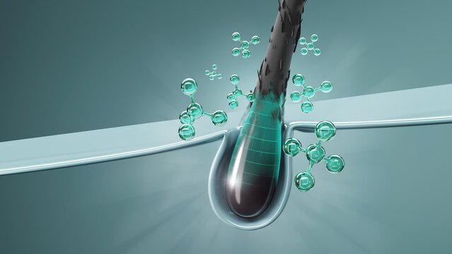 High-detail 3D illustration of follicle stimulation using modern biotech, ideal for hair thickening, alopecia solutions, and premium skincare visuals.