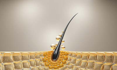 3D hair follicle cross-section showing nutrient absorption and scalp hydration, perfect for haircare and shampoo product visuals.