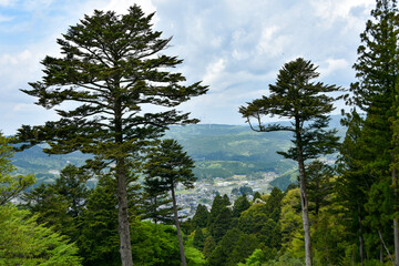 Obraz premium 夏の岐阜県の岩村城趾から見た風景