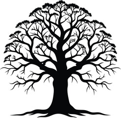 Obraz premium Silhouette of a Bare Tree