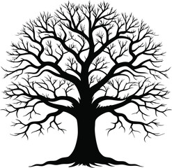 Obraz premium Silhouette of a bare oak tree with intricate branch structure