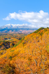 御嶽山　九蔵峠