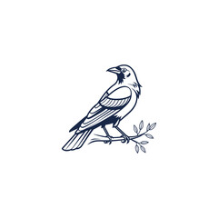 Flying birds silhouettes on white background. Vector illustration. isolated bird flying. tattoo design.