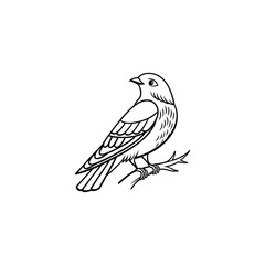 Flying birds silhouettes on white background. Vector illustration. isolated bird flying. tattoo design.