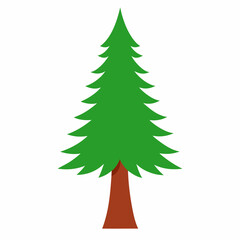 Redwood Tree icon on white background