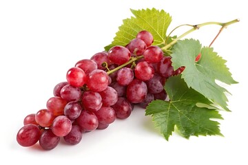 Fototapeta premium Grapes with leaf detail on white – healthy fruit photography