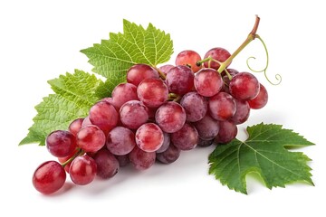 Obraz premium Cluster of red grapes with leaves – isolated harvest produce