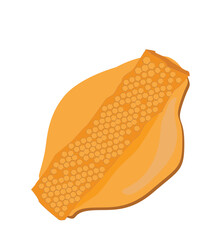 honeycomb isolated.Pure melted amber honey dripping, splashing and falling. Translucent sweet nectar leak with honeycomb,