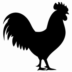 Photorealistic Rooster Silhouette High-Resolution Black and White Poultry Illustration
