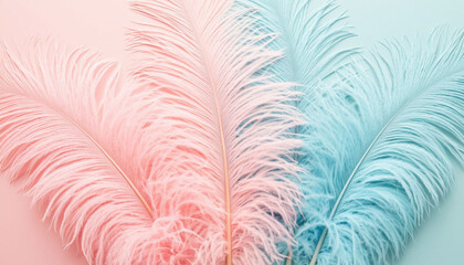 Fototapeta premium Ostrich feathers in pastel colors. AI generated.