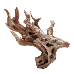 Unique driftwood sculpture for home decor display isolated on transparent or white background. A high resolution PNG image of Unique driftwood sculpture for home decor display.