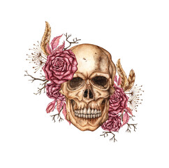Skull realistic front view with dark red roses, dried flowers and branches watercolor illustration. Bones in gothic style. Day of the Dead, Halloween, Dia de los muertos. Isolated from background. 