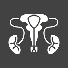 Male Reproductive System icon vector image. Suitable for mobile apps, web apps and print media.