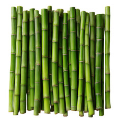 Fototapeta premium Fresh green bamboo stalks arranged in neat rows isolated on transparent or white background. A high resolution PNG image of Fresh green bamboo stalks arranged in neat rows.