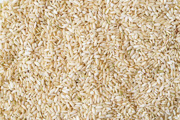 Full frame close up flat lay texture of brown rice for food and nutrition background healthy eating and cooking concept with copy space pattern of organic grains.