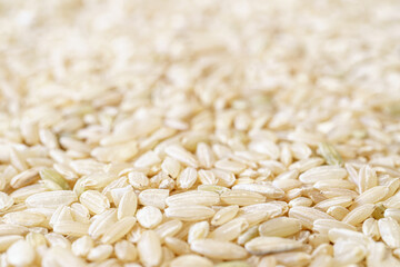 Full frame close up texture of brown rice for food and nutrition background healthy eating and cooking concept with copy space pattern of organic grains.