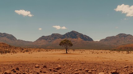 A lone tree stands in a barren desert landscape, with a mountain range in the background.