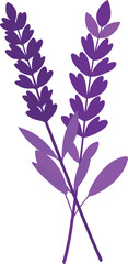 Lavender Blossoms Aromatic Floral Sprig in Purple