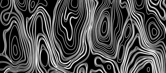 Fototapeta premium Topographic map like abstract backdrop. vector monochrome seamless pattern, curved lines, black & white layered texture. Abstract dynamical rippled surface.