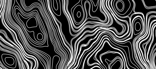 Topographic map like abstract backdrop. vector monochrome seamless pattern, curved lines, black & white layered texture. Abstract dynamical rippled surface.