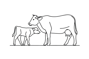 Simple vector illustration depicting a mother cow standing next to her calf in outline