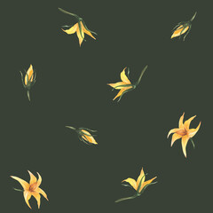 Fototapeta premium Yellow flowers and buds of tomato plant seamless pattern. Watercolor botanical floral design. Realistic hand drawn illustration for fabric, wallpaper on isolated dark background. Gardening clipart
