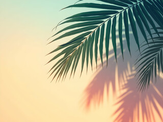 Tropical serenity captured, Palm fronds casting elongated shadows, creating a tranquil and vibrant contrast against a soft, gradient backdrop of pastel hues