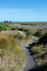 Whatipu Caves Track with coastal landscape and rugged terrain