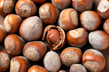 Primo piano di nocciole con guscio, frutta secca biologica 