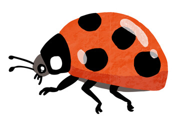 Fototapeta premium シンプルなテントウムシのベクターイラスト