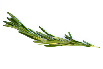 Rosemary sprig lying on white background with copy space, minimalism