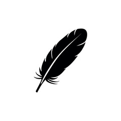 Fototapeta premium Solitary black bird feather exhibits intricate detail against a crisp white background