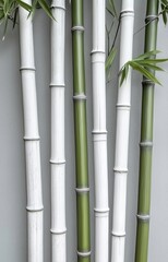 Obraz premium green bamboo 
