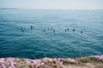 Surfers wading in pacific ocean waiting for waves