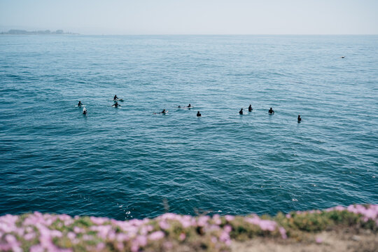Surfers wading in pacific ocean waiting for waves