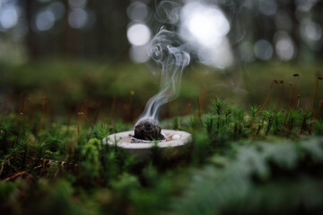 Smoking incense ball in a forest bowl surrounded by moss