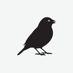 Indigo Bunting Silhouettes on White Background - Stunning Bird Art