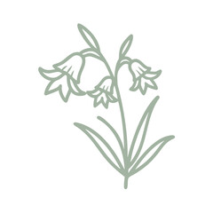 Minimalist Bluebell Flower Line Art Illustration