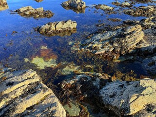 Islay, Scotland’s whisky haven, blends rugged natural beauty with pristine seas and abundant birdlife. Known for peaty single malts and serene coastal landscapes, it’s a gem for nature and spirits-the