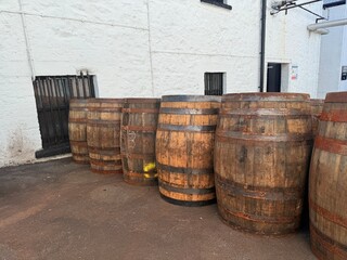 Islay, Scotland&rsquo;s whisky haven, blends rugged natural beauty with pristine seas and abundant birdlife. Known for peaty single malts and serene coastal landscapes, it&rsquo;s a gem for nature and spirits-the