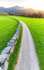 Obraz premium road in the field