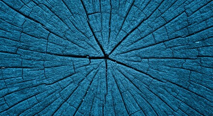 Fototapeta premium Abstract Background of Blue Wood Cross Section Texture