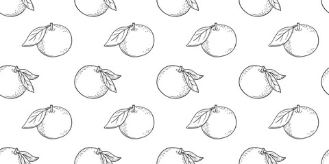 Seamless vector pattern with hand drawn tangerine or orange fruits. Engraved line art.