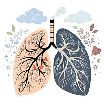 Human lungs and brain medical illustration with floral and spring decorative elements vector design