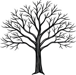 Obraz premium tree with roots