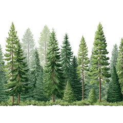 Obraz premium Majestic Forest Landscape , isolated on white background png