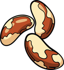 Brazil nuts icon vector illustration